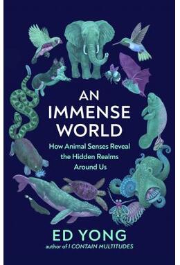 Copertă produs An Immense World