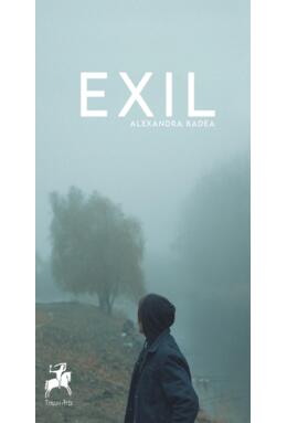 Copertă produs Exil