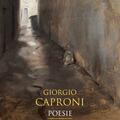 Copertă produs Poesie / Poezii - gallery small 