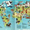 Copertă produs Primul meu Atlas al Lumii - gallery small 