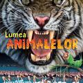 Copertă produs Lumea animalelor - gallery small 