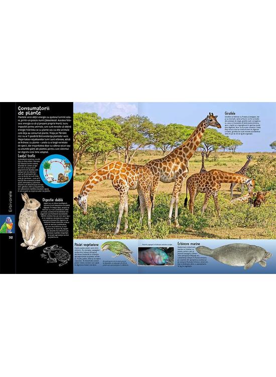 Copertă produs Lumea animalelor - gallery big 3