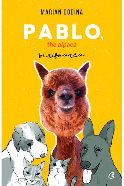 Pablo, the alpaca