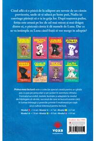 Copertă produs Nadia și pisicuța adoptivă