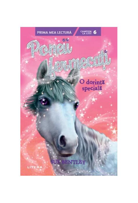 Copertă produs O dorință specială (Vol. 2)