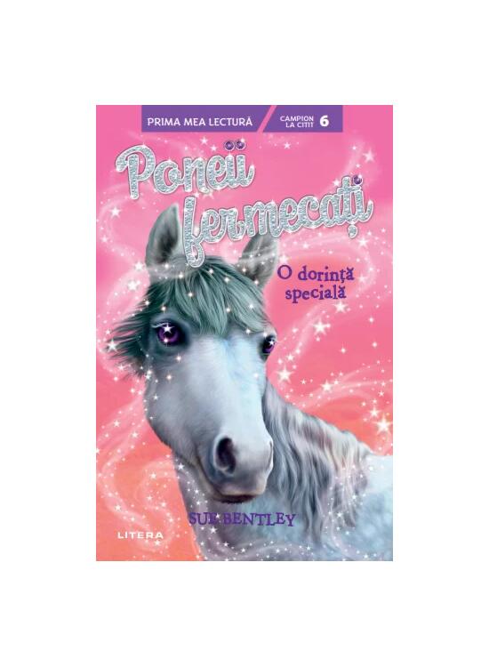 Copertă produs O dorință specială (Vol. 2) - gallery big 1