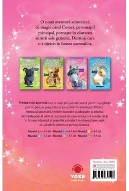 Copertă produs O dorință specială (Vol. 2)