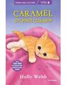 Copertă produs Caramel, un pisoi curajos - thumb 1