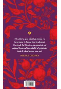 Copertă produs Rumi: Cântecele iubirii