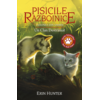 Copertă produs Pisicile războinice. Viziunea din umbre. Un clan destrămat (Vol. 33)