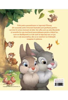 Copertă produs Iepurașii la joacă