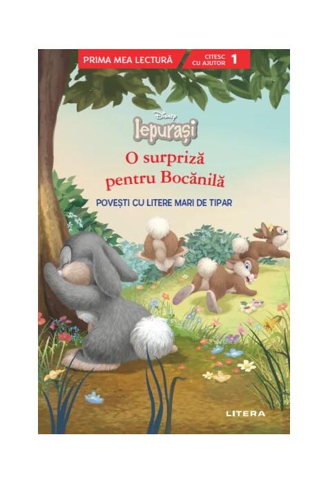 Copertă produs O surpriză pentru Bocănilă