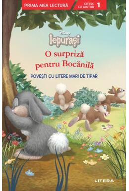 Copertă produs O surpriză pentru Bocănilă