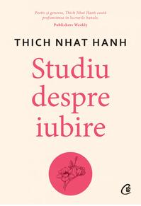 Copertă produs Studiu despre iubire