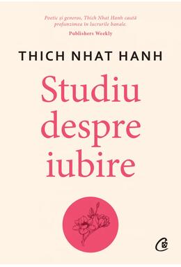 Copertă produs Studiu despre iubire