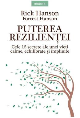 Copertă produs Puterea rezilienței