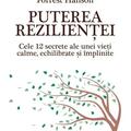 Copertă produs Puterea rezilienței - gallery small 