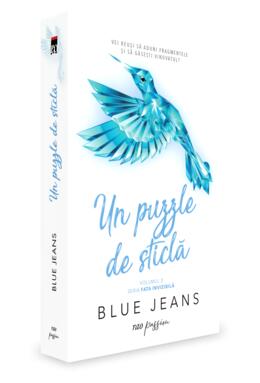 Copertă produs Un puzzle de sticlă (Vol. 2)