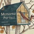 Copertă produs Momentul perfect - gallery small 