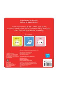 Copertă produs Furia