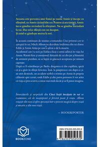 Copertă produs Cinci lecții învățate în rai (Vol. 2)