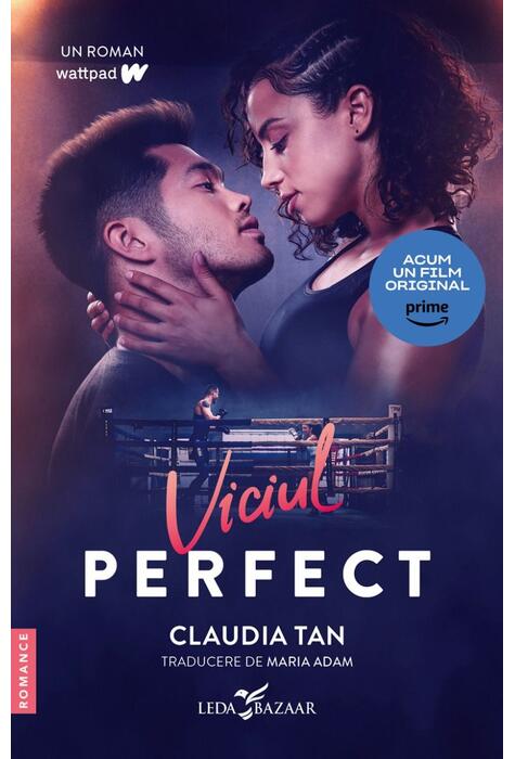 Copertă produs Viciul perfect