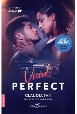 Copertă produs Viciul perfect