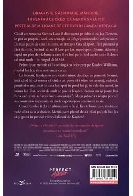 Copertă produs Viciul perfect