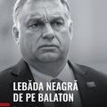 Copertă produs Lebăda neagră de pe Balaton - gallery small 