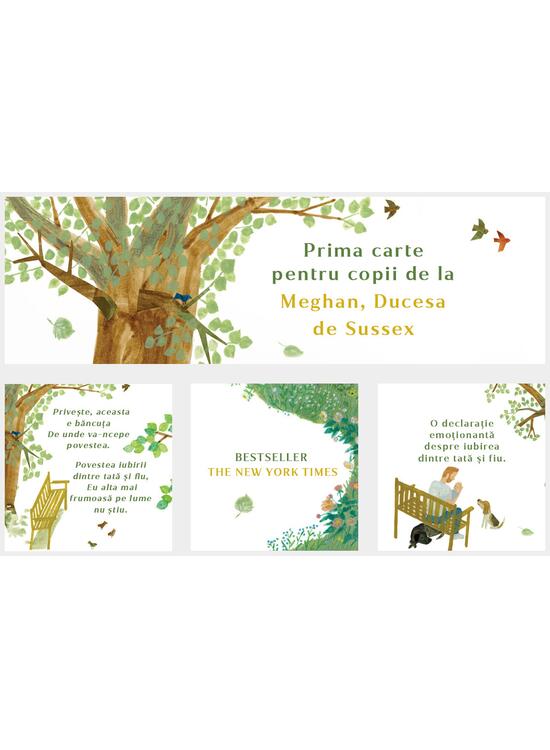 Copertă produs Băncuța - gallery big 2