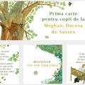 Copertă produs Băncuța - gallery small 