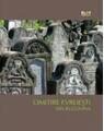 Copertă produs Cimitire evreieşti din Bucovina - thumb 1