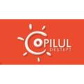 Copilul deștept