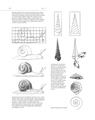 Copertă produs Școala de desen - thumb 6