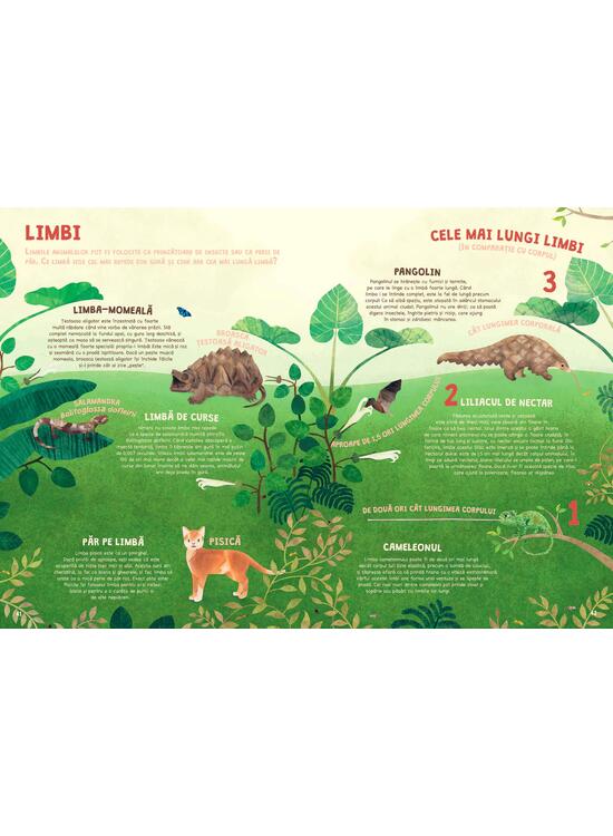 Copertă produs Cartea recordurilor din lumea animalelor - gallery big 3