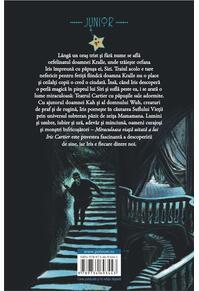 Copertă produs Miraculoasa viață uitată a lui Iris Cartier