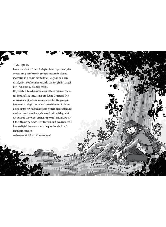 Copertă produs Un secret &icirc;n gheruțe de pisică (Vol. 2) - gallery big 6