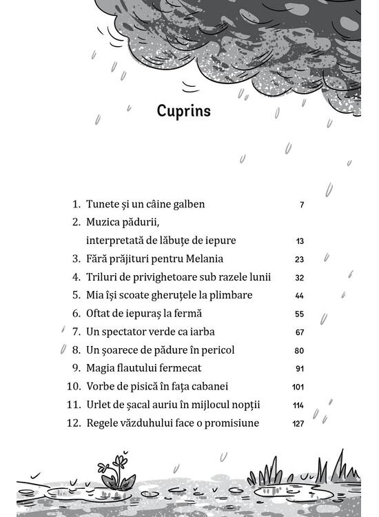 Copertă produs Un secret &icirc;n gheruțe de pisică (Vol. 2) - gallery big 9