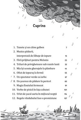Copertă produs Un secret &icirc;n gheruțe de pisică (Vol. 2)