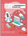 Copertă produs Scrisorile verii. Caiet de vacanță. Clasa a V-a - thumb 1