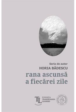 Copertă produs Rana ascunsă a fiecărei zile