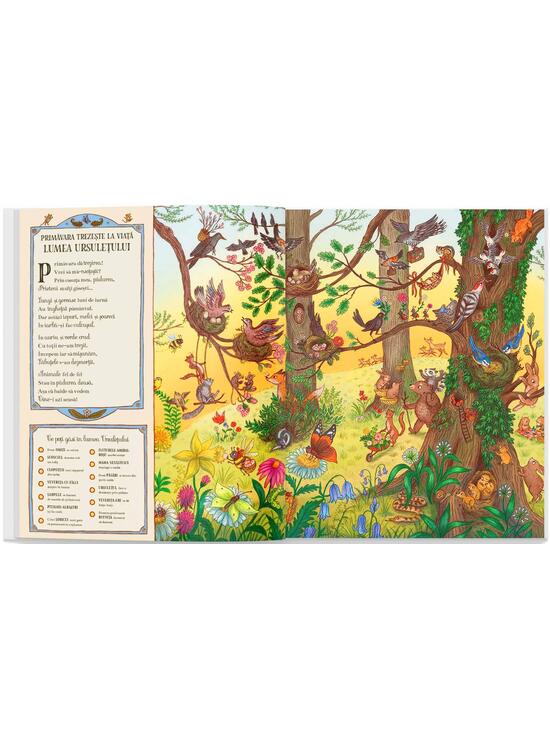 Copertă produs De mergi astăzi în pădure - gallery big 4