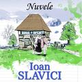 Copertă produs Nuvele - gallery small 