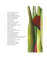 Copertă produs Z&acirc;na care vede &icirc;n &icirc;ntuneric - thumb 3