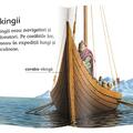 Copertă produs Vikingii - gallery small 