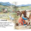 Copertă produs Vikingii - gallery small 