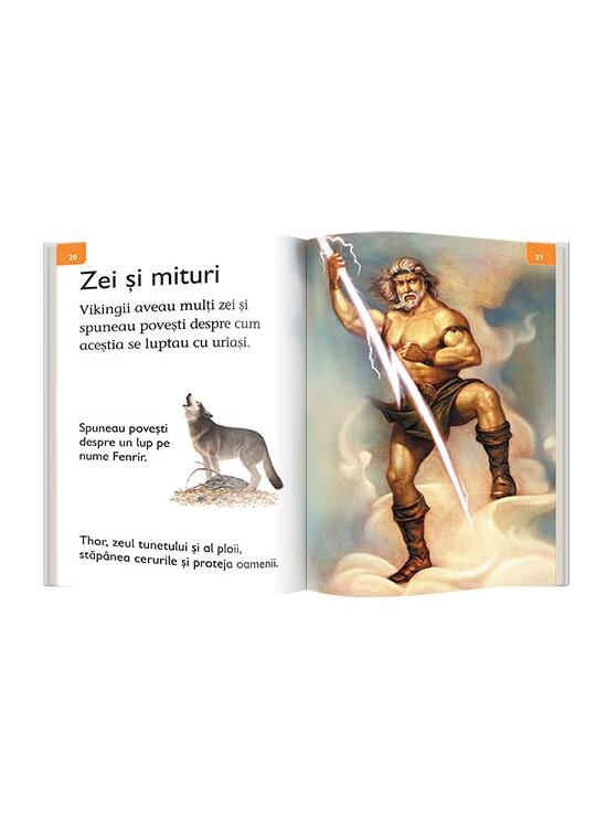 Copertă produs Vikingii - gallery big 4