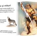 Copertă produs Vikingii - gallery small 