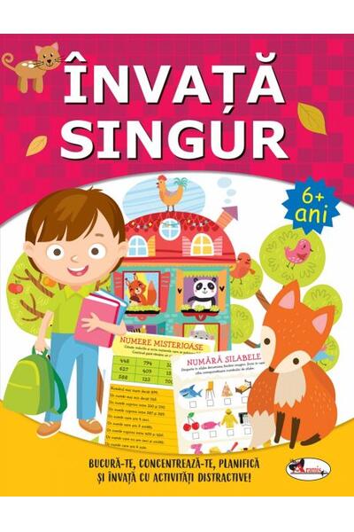 &Icirc;nvață singur. Carte de activitățI +6