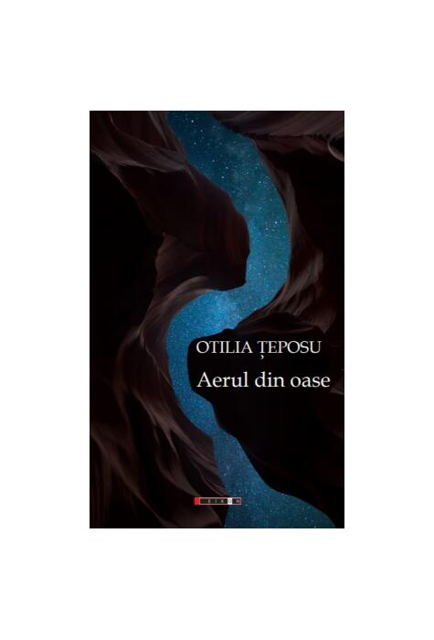 Copertă produs Aerul din oase